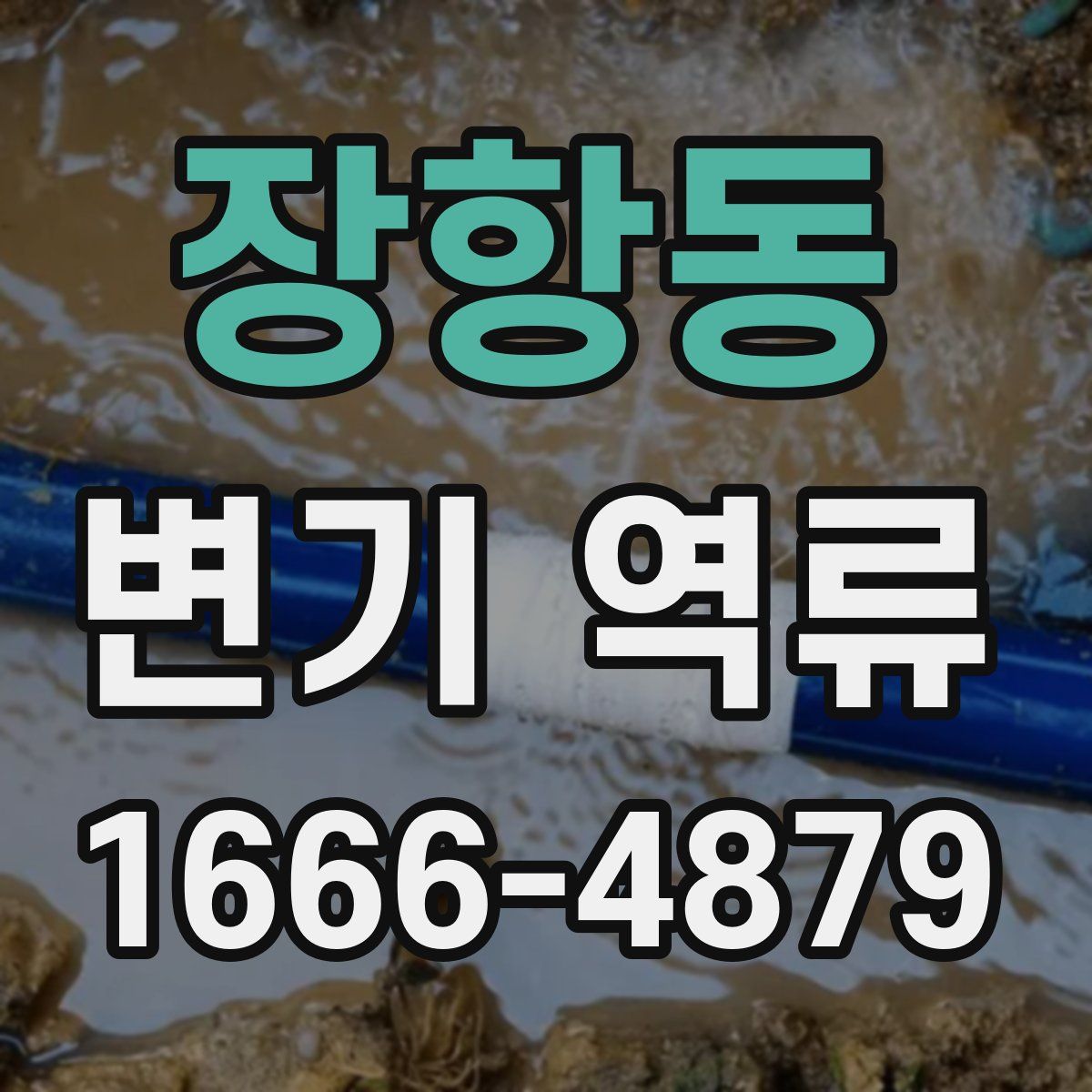장항동 변기 역류