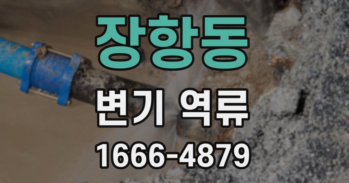 장항동 변기 역류