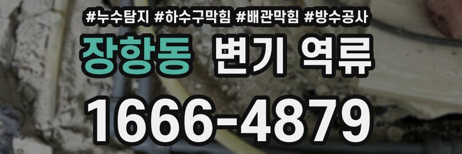 장항동 변기 역류