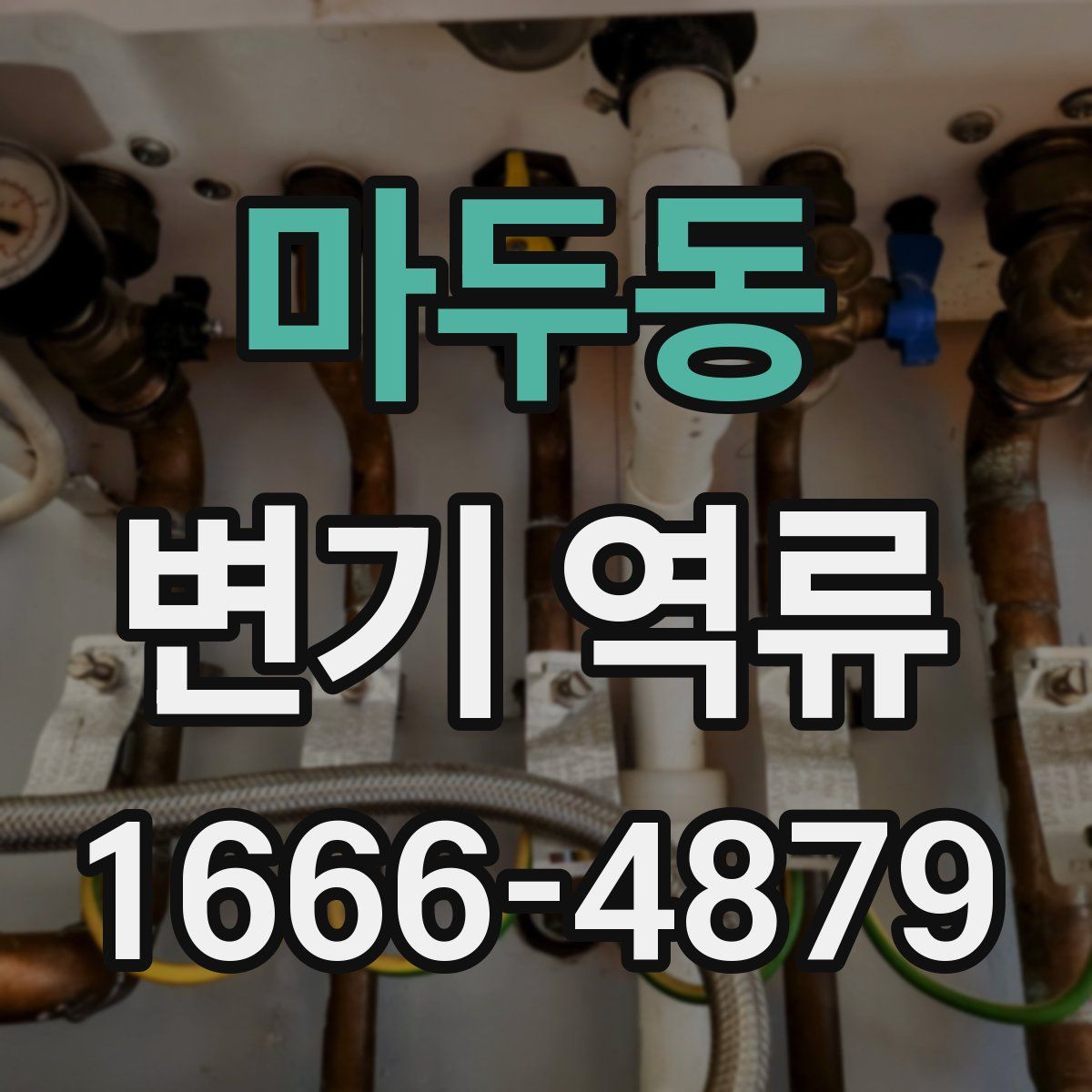 마두동 변기 역류