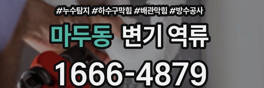 마두동 변기 역류
