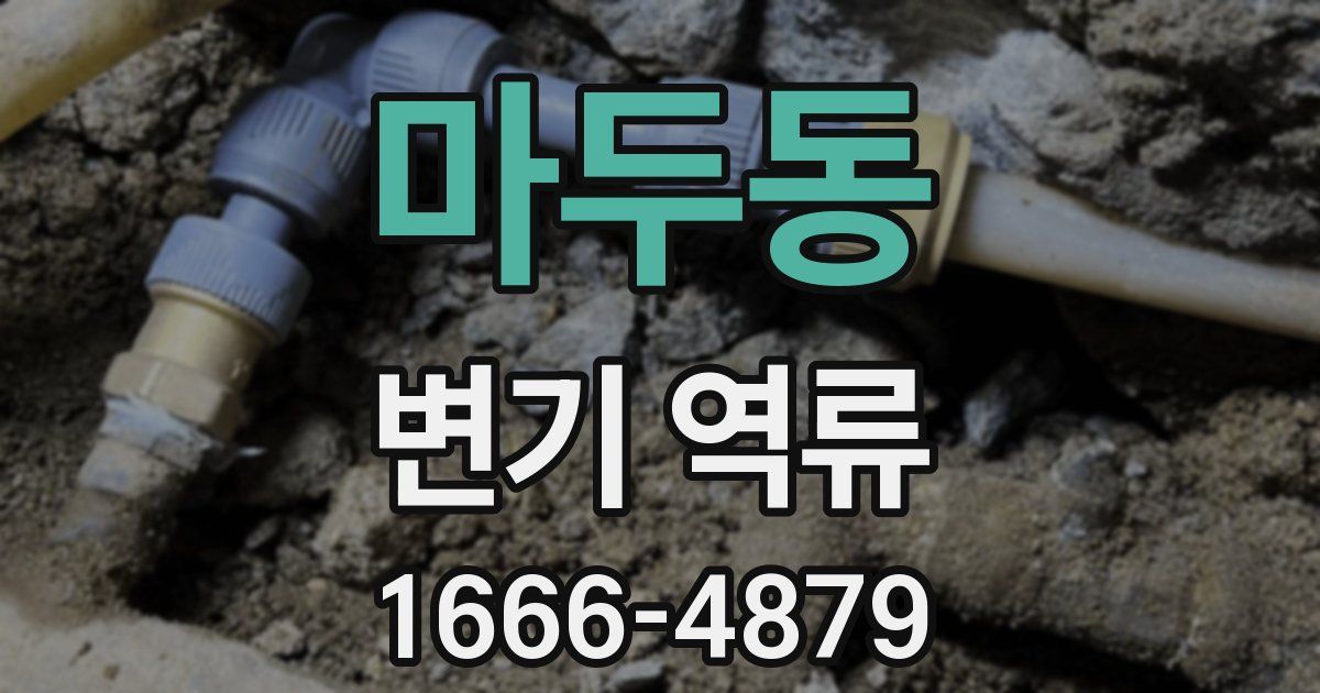 마두동 변기 역류