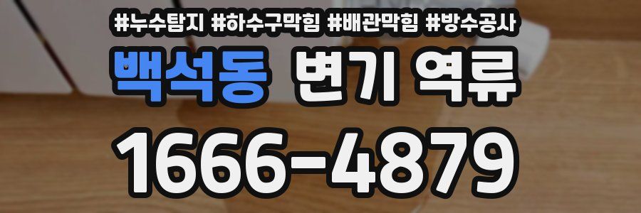 백석동 변기 역류