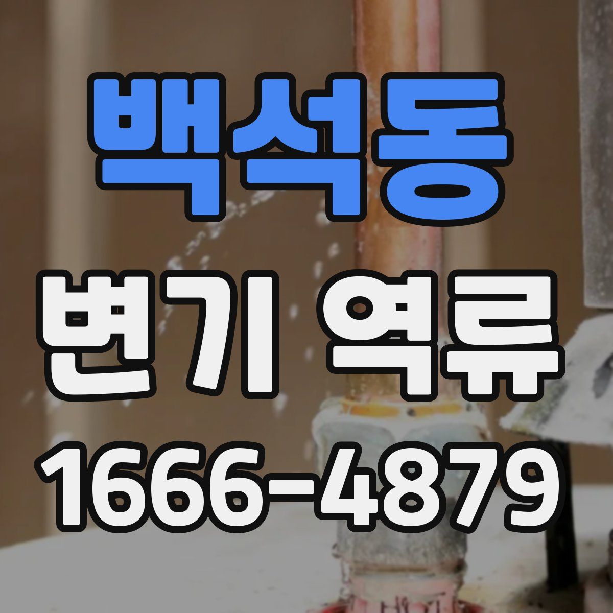 백석동 변기 역류