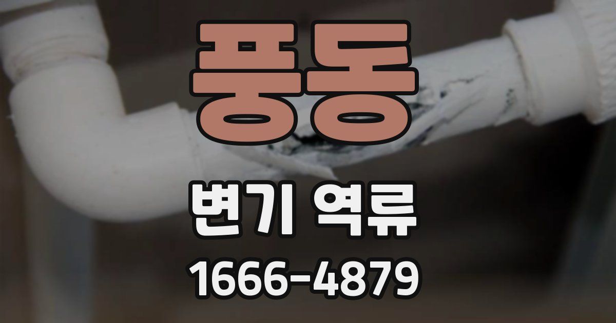풍동 변기 역류