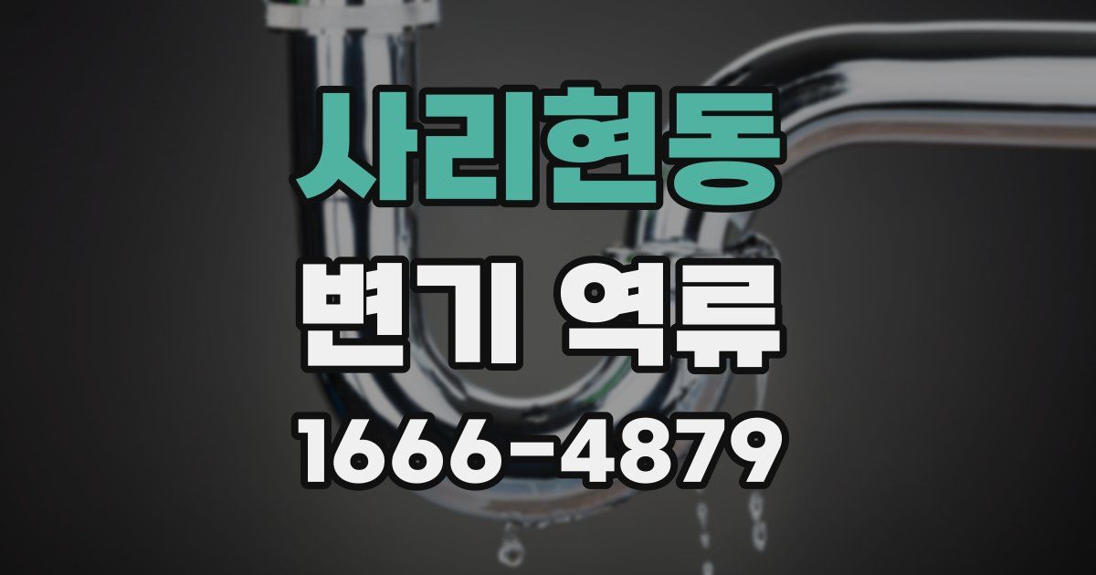 사리현동 변기 역류