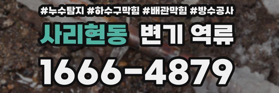 사리현동 변기 역류
