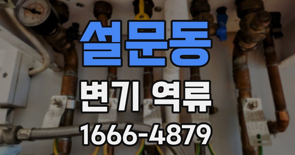 설문동 변기 역류