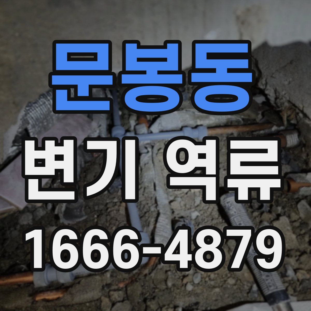 문봉동 변기 역류