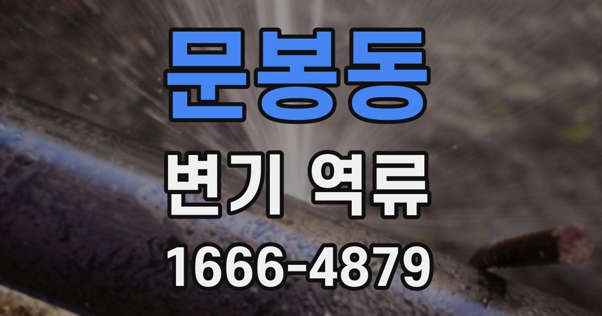 문봉동 변기 역류