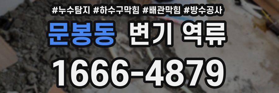 문봉동 변기 역류