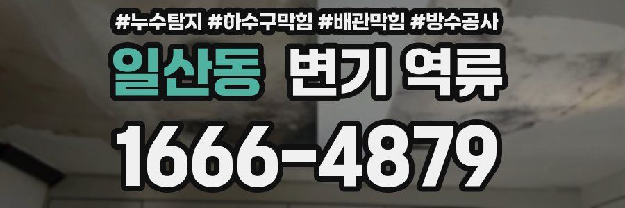 일산동 변기 역류