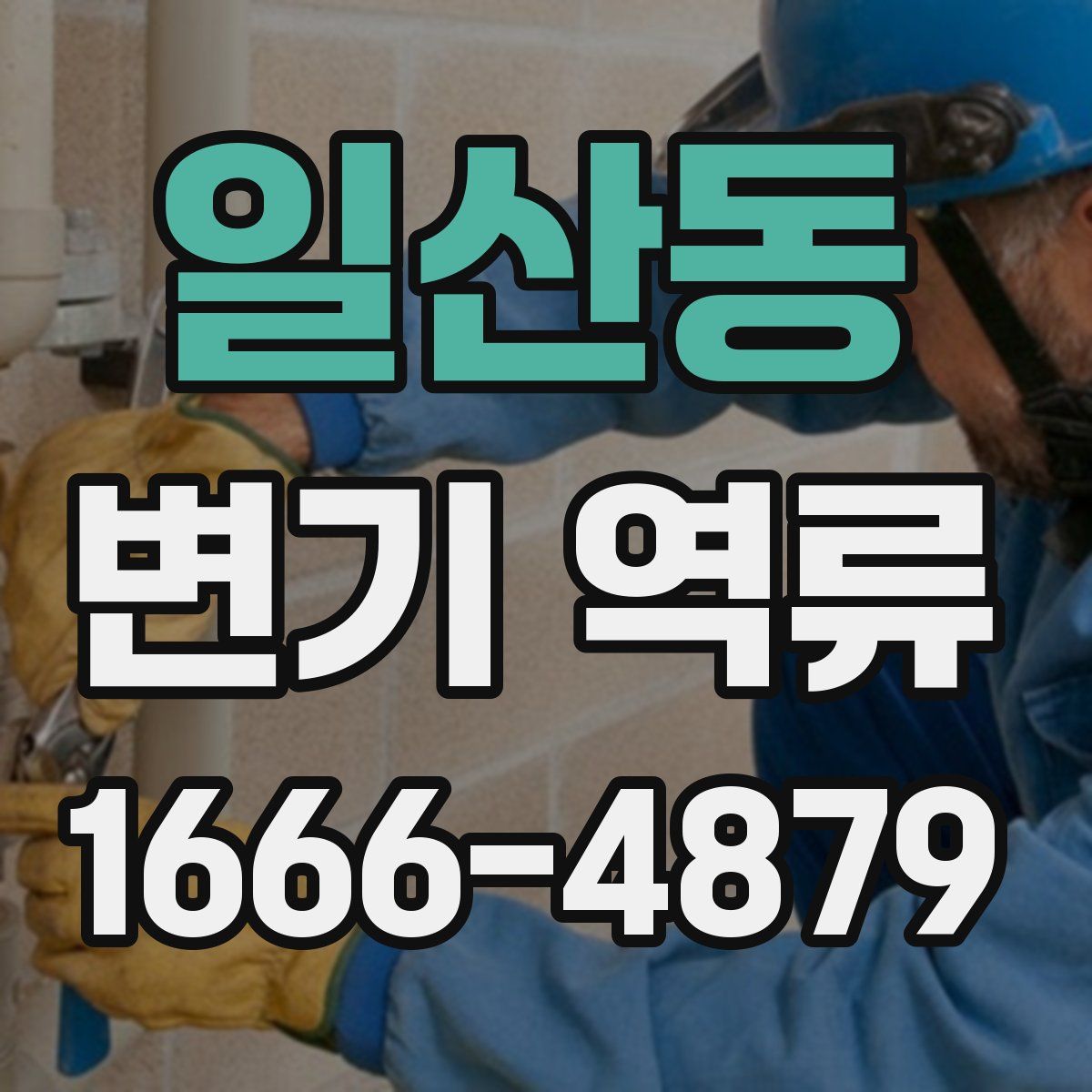 일산동 변기 역류