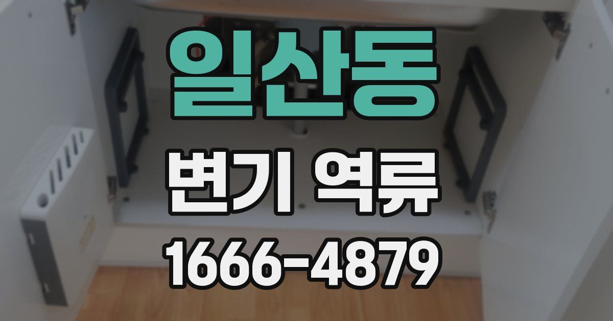 일산동 변기 역류