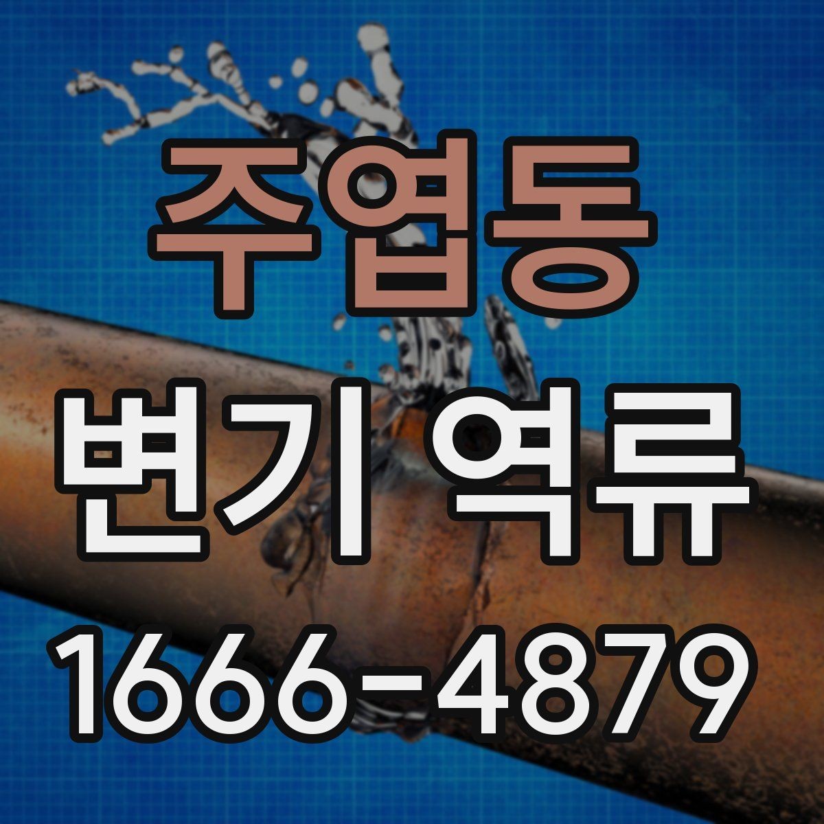 주엽동 변기 역류 예방을 위한 기본 점검 항목