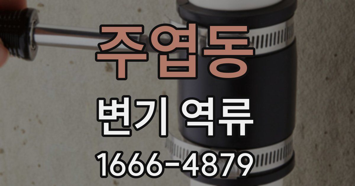 주엽동 변기 역류