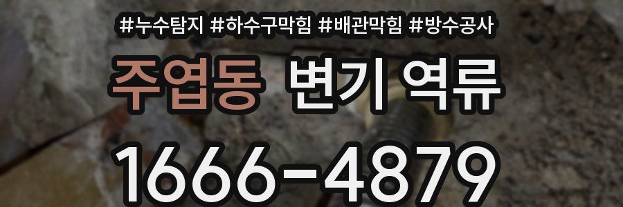 주엽동 변기 역류