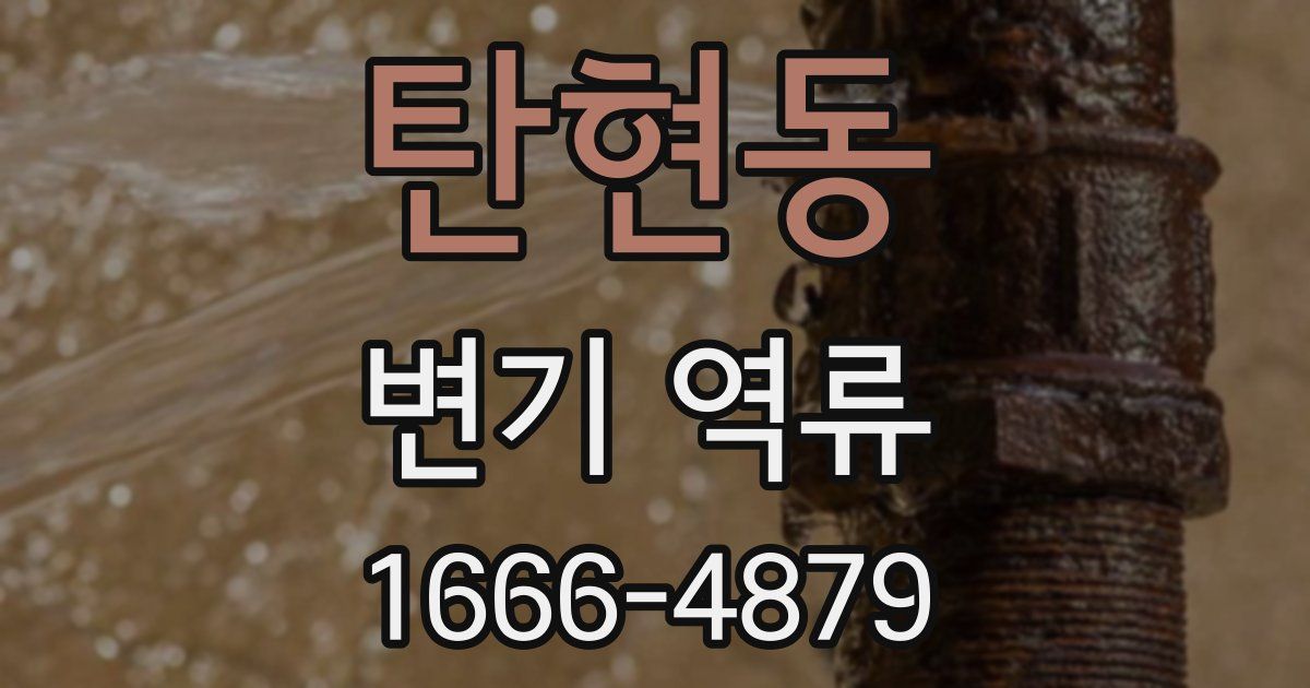탄현동 변기 역류