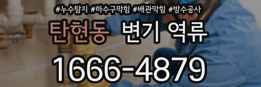 탄현동 변기 역류