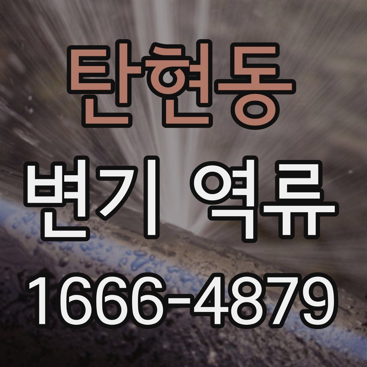 탄현동 변기 역류