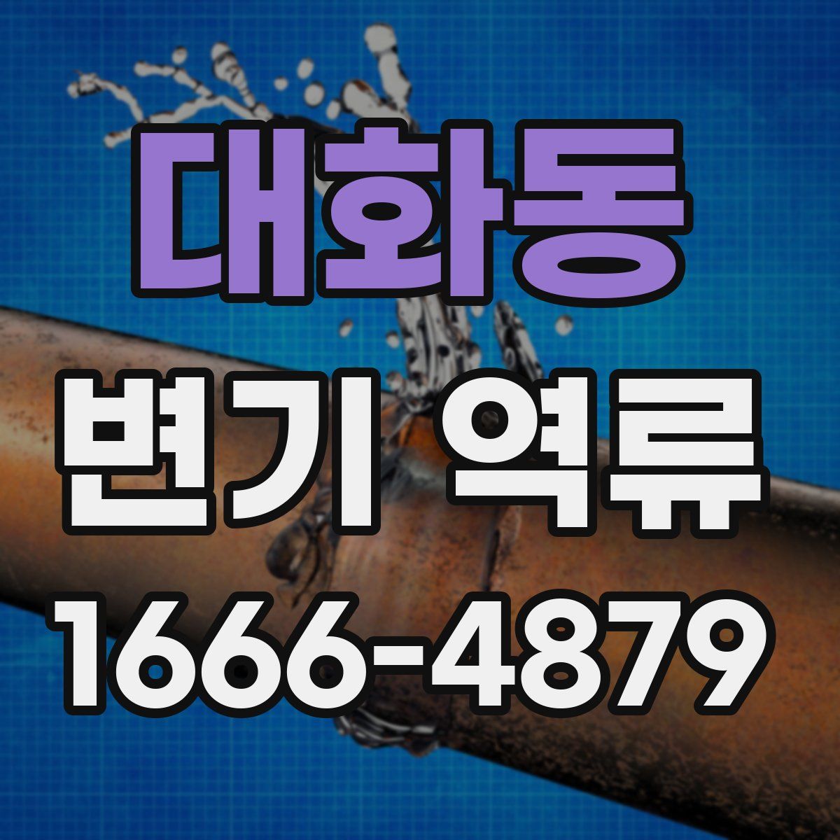 대화동 변기 역류