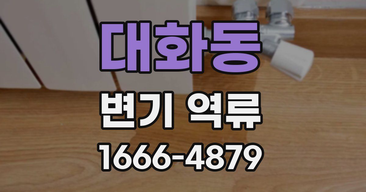 대화동 변기 역류
