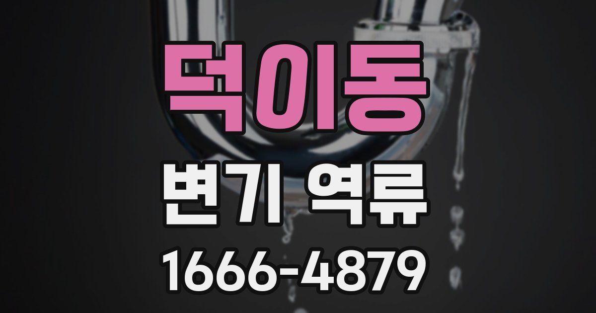덕이동 변기 역류