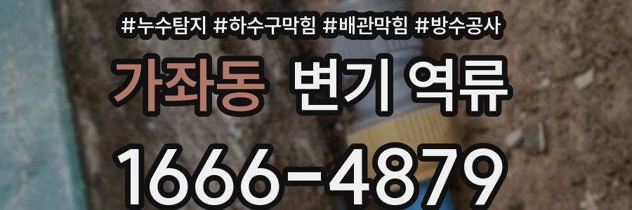 가좌동 변기 역류