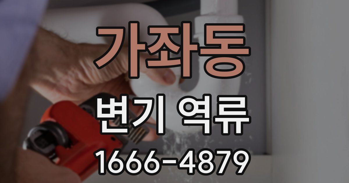 가좌동 변기 역류