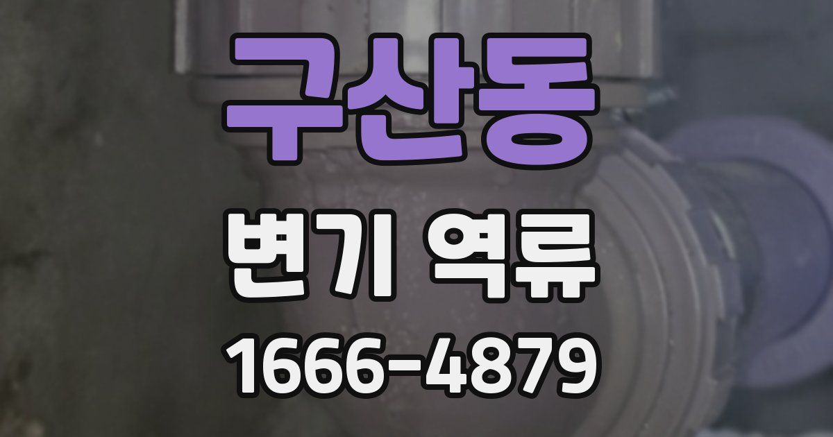 구산동 변기 역류