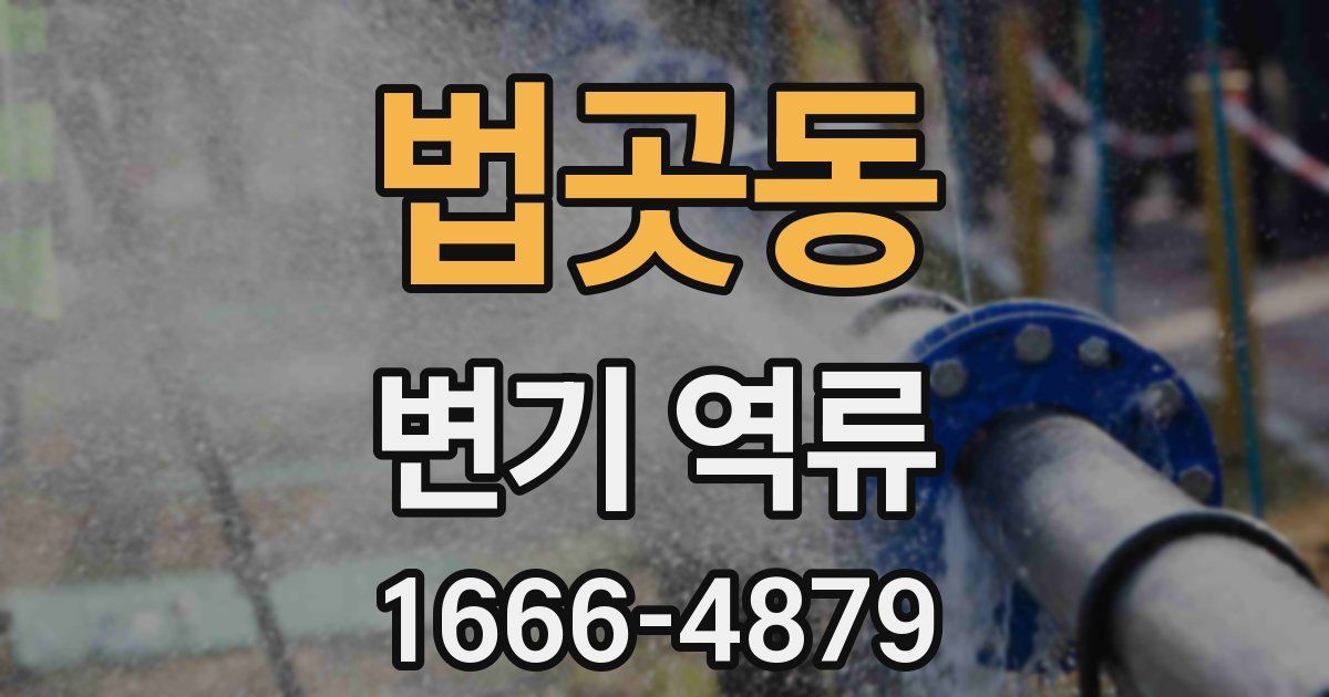법곳동 변기 역류