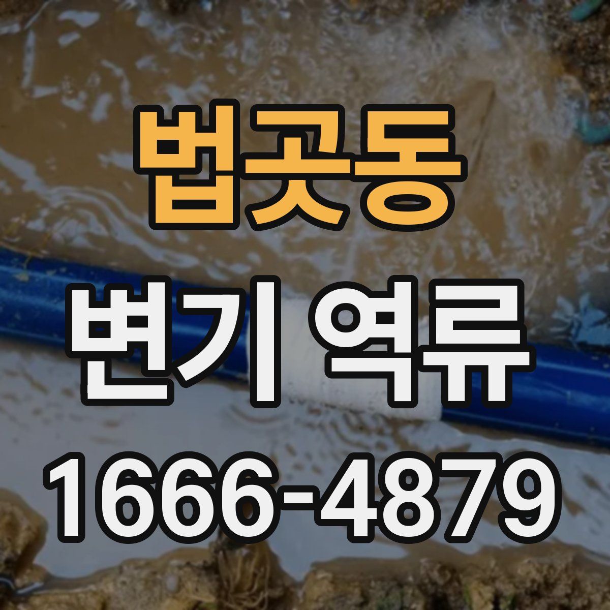 법곳동 변기 역류
