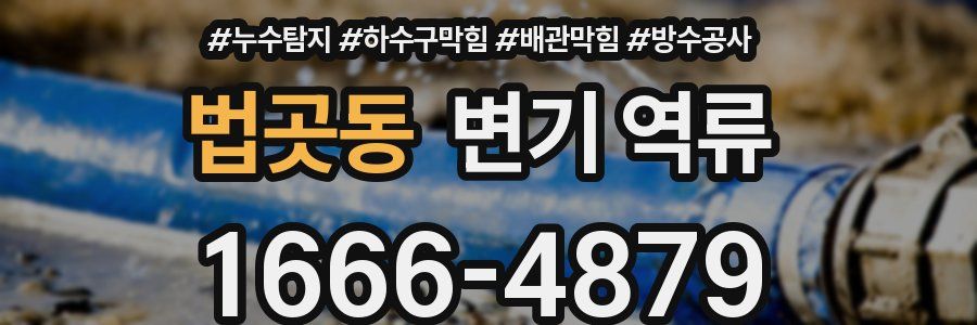 법곳동 변기 역류