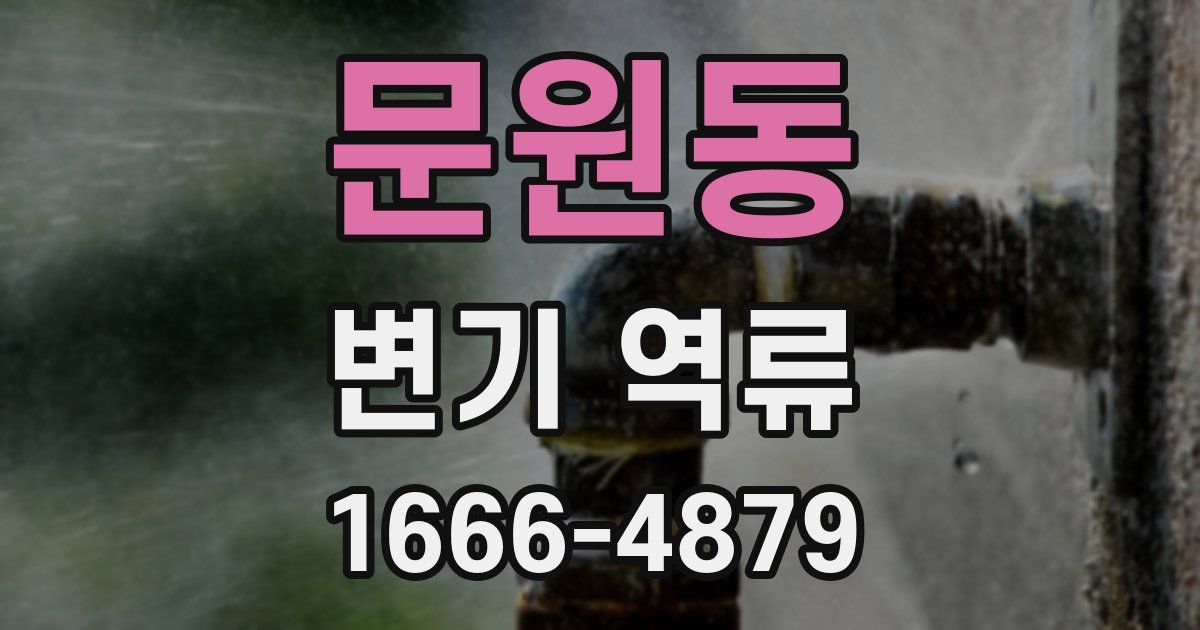 문원동 변기 역류