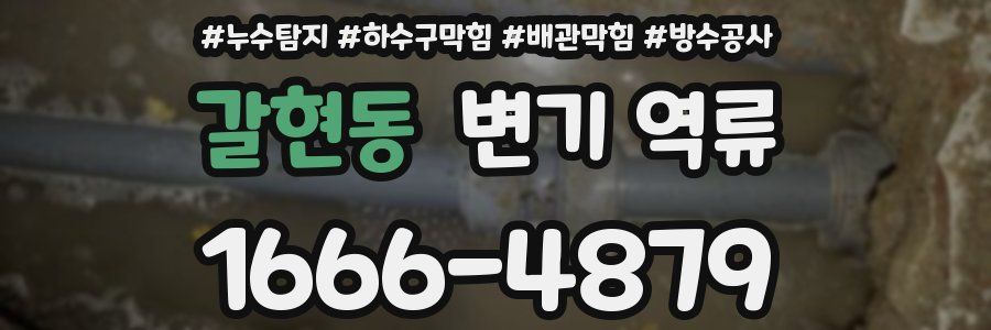 갈현동 변기 역류