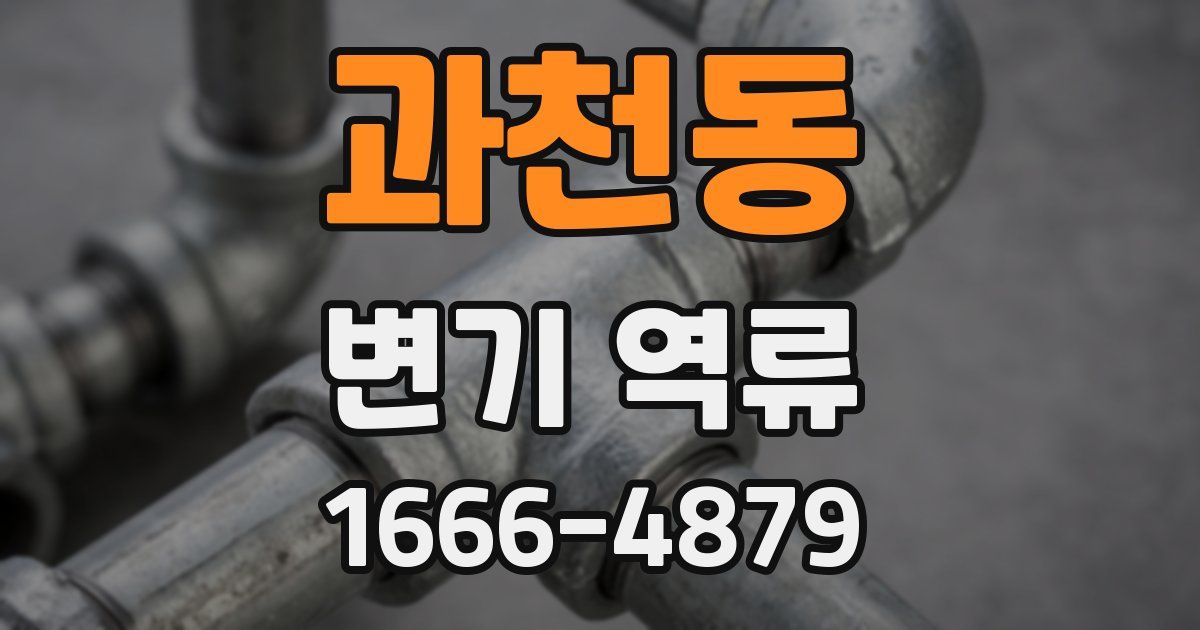 과천동 변기 역류