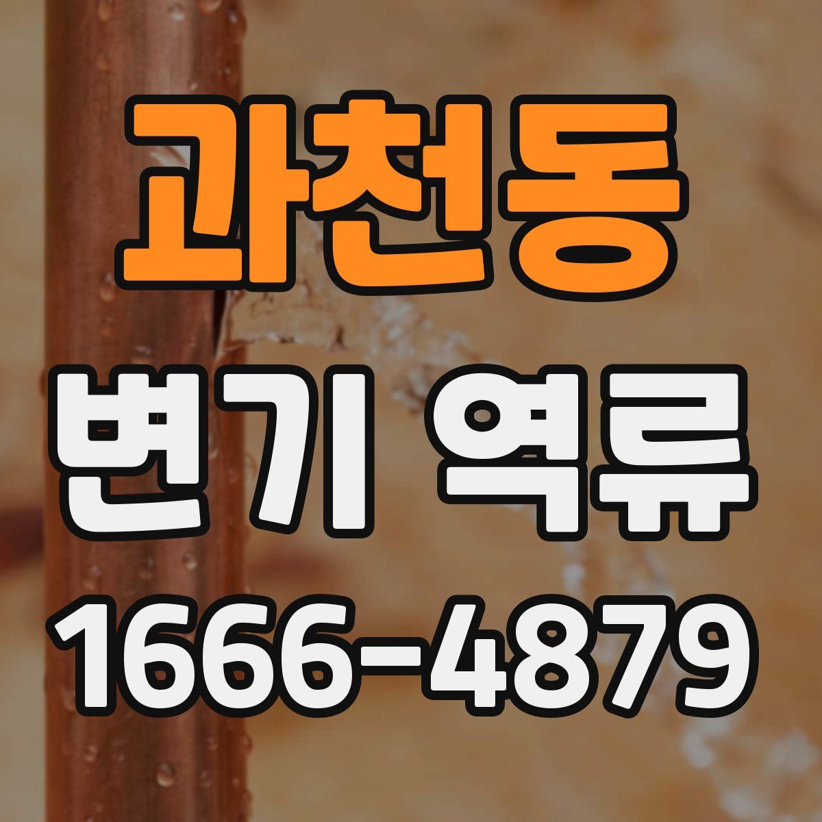 과천동 변기 역류