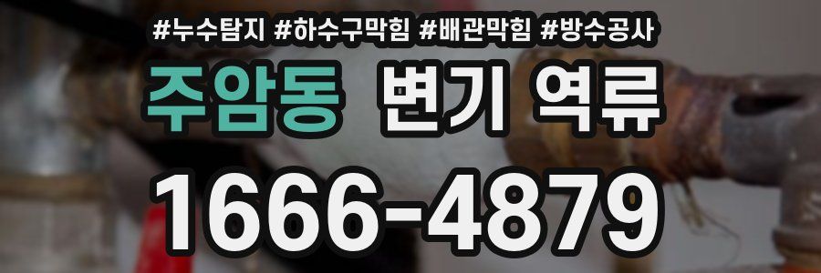 주암동 변기 역류