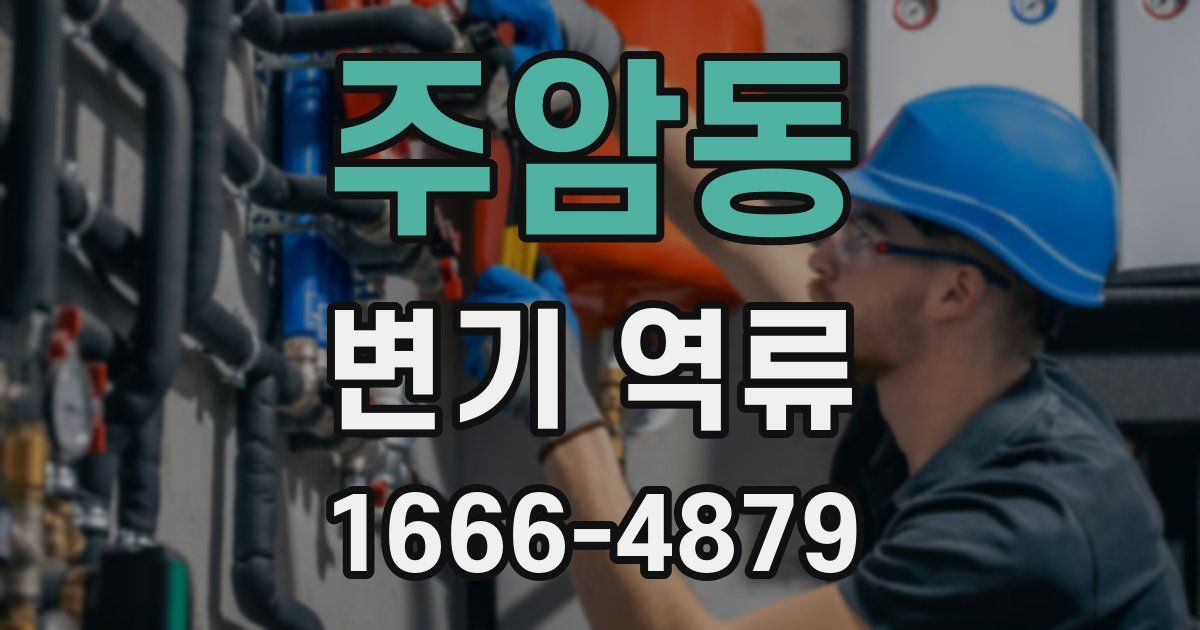 주암동 변기 역류