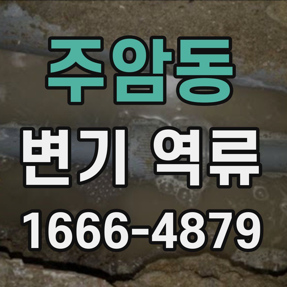 주암동 변기 역류