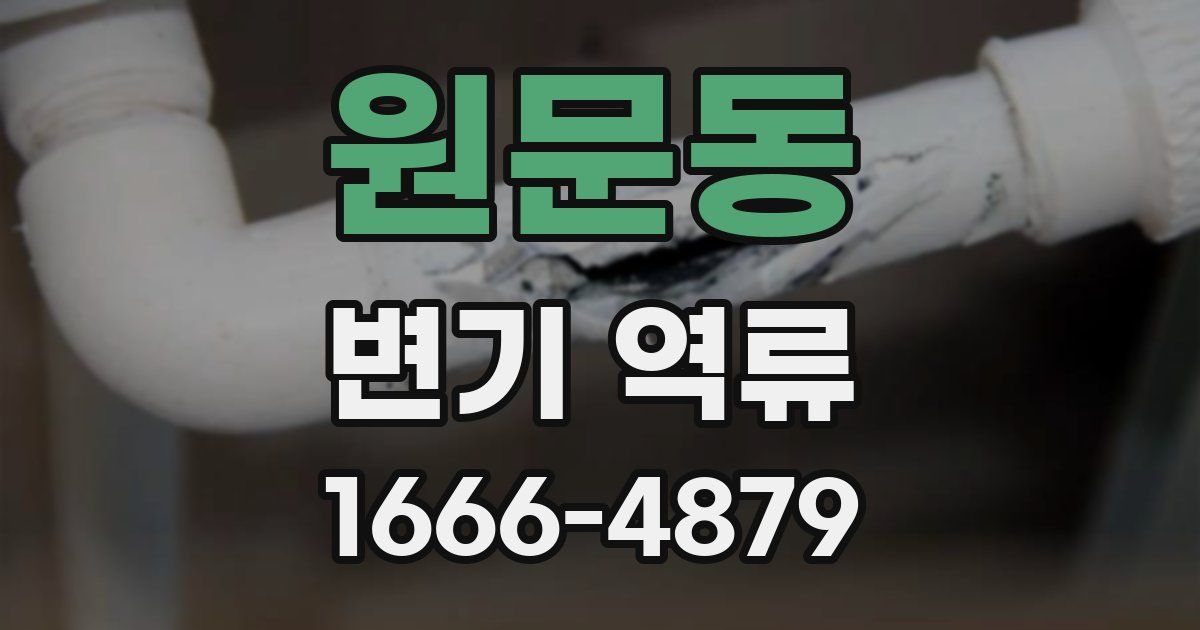 원문동 변기 역류