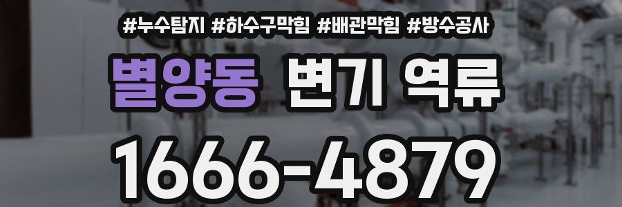 별양동 변기 역류