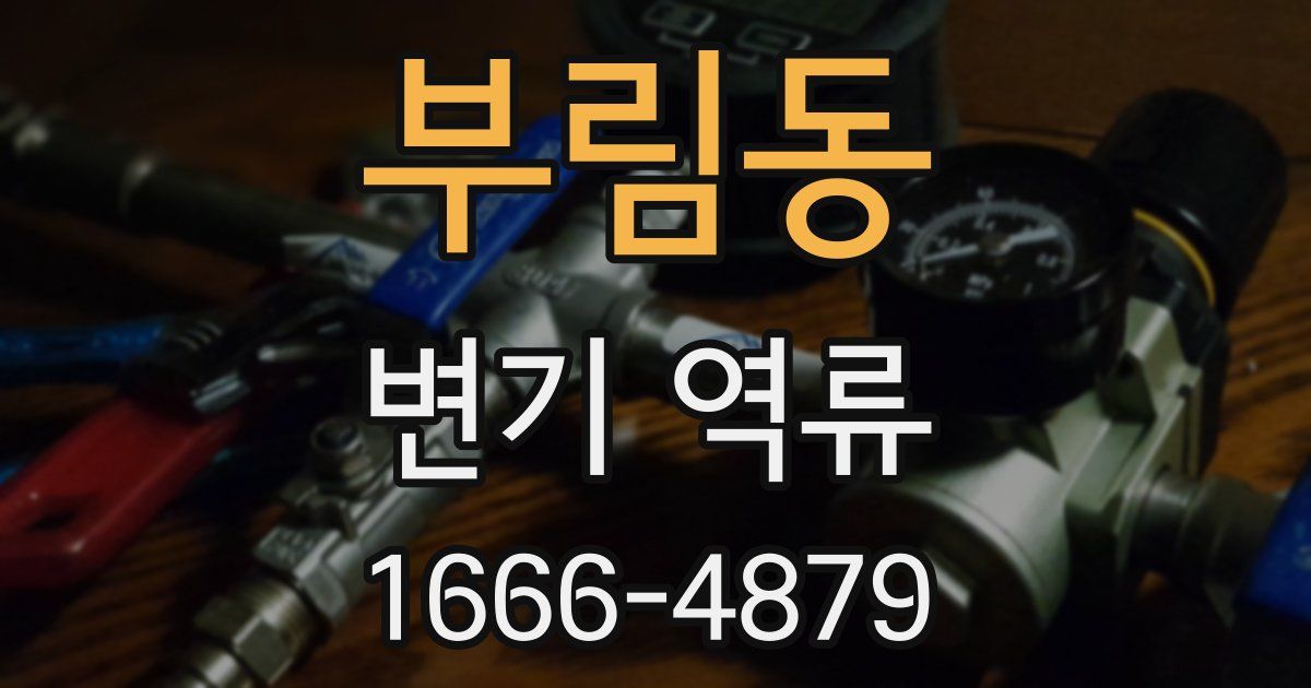 부림동 변기 역류