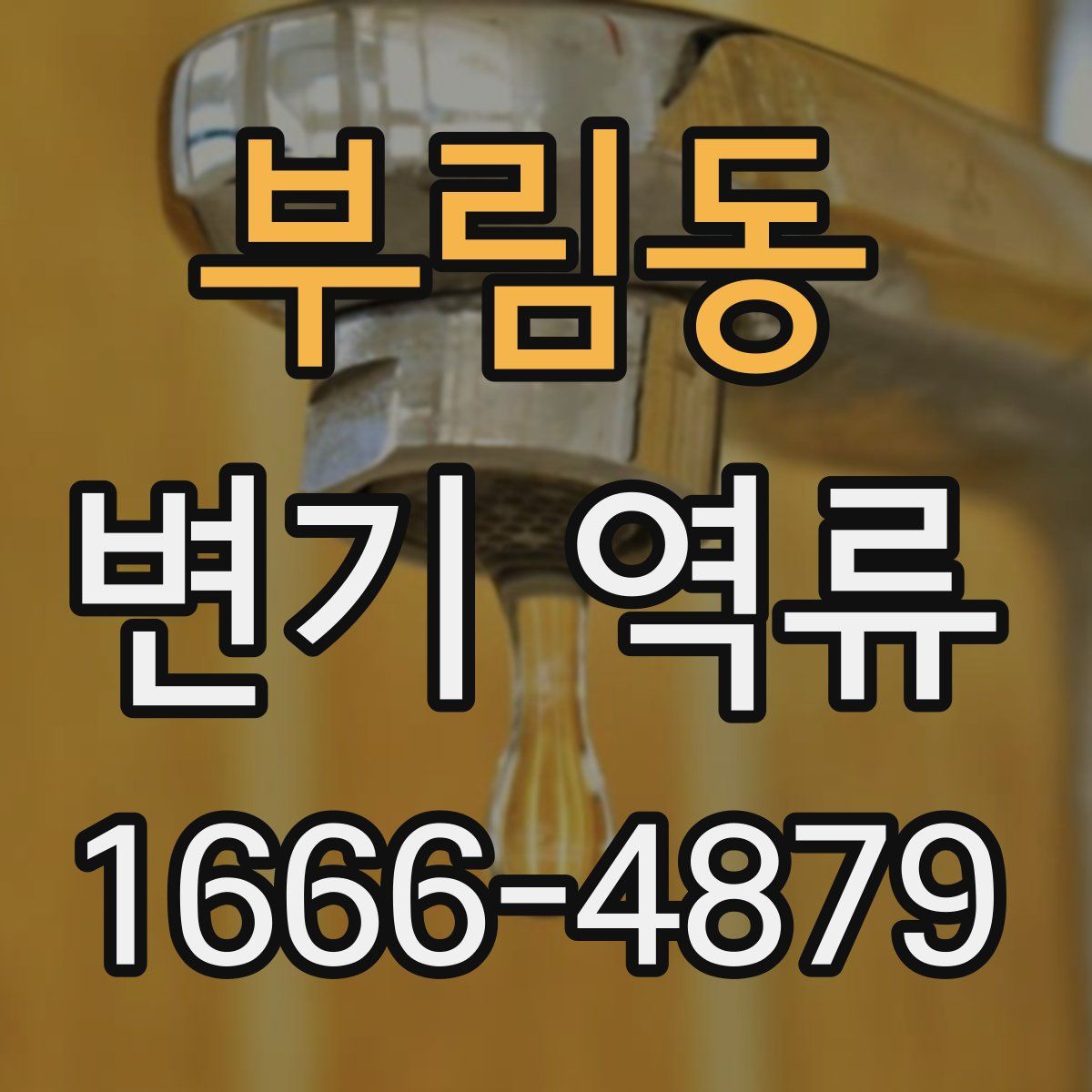 부림동 변기 역류