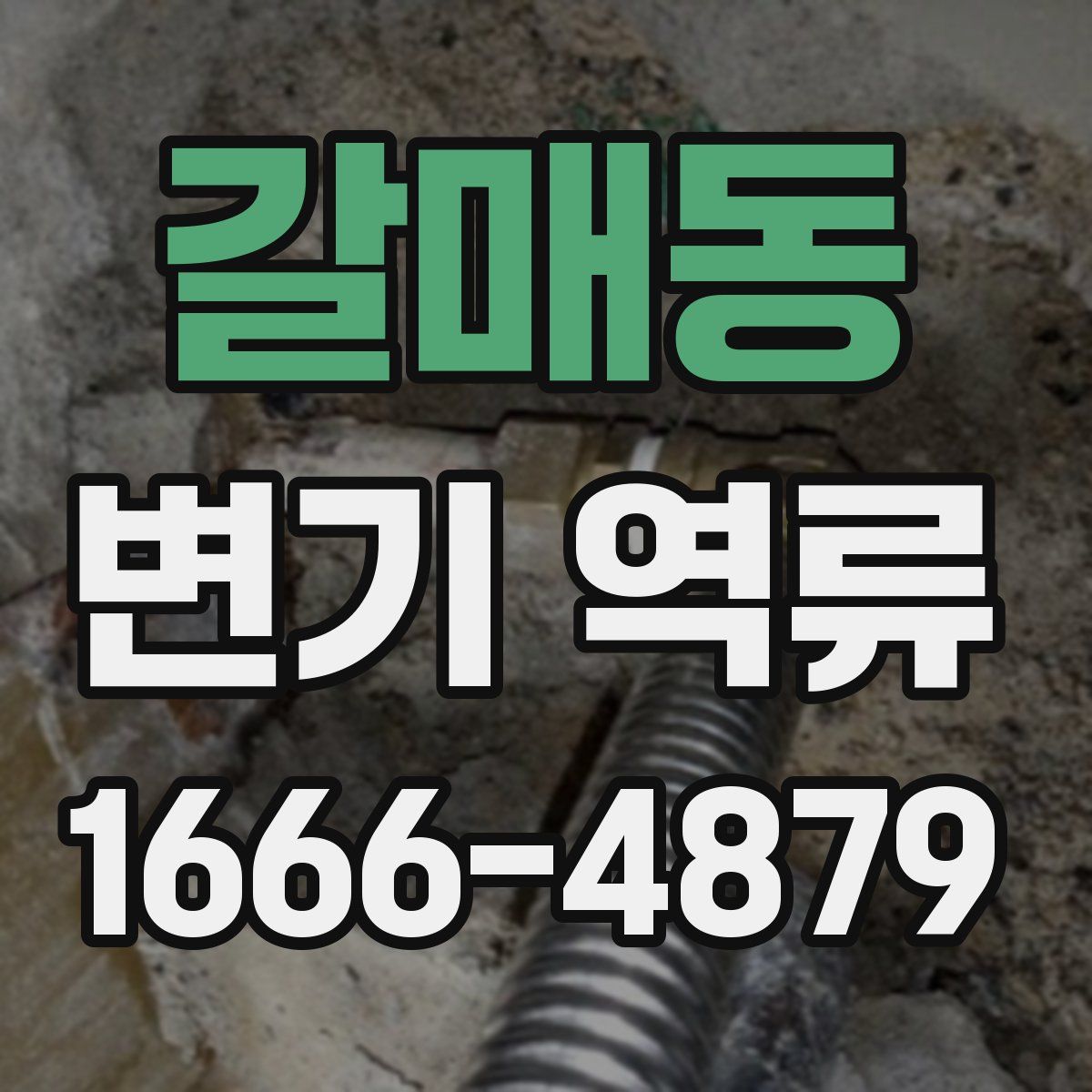 갈매동 변기 역류