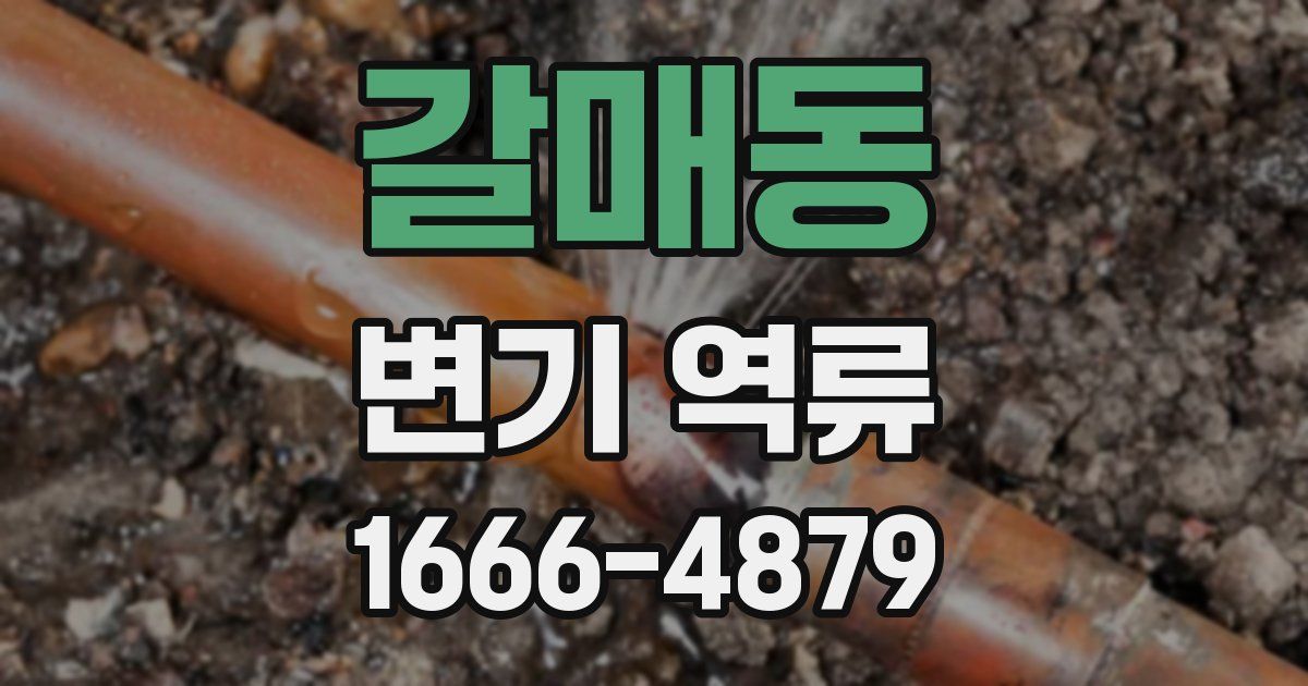 갈매동 변기 역류