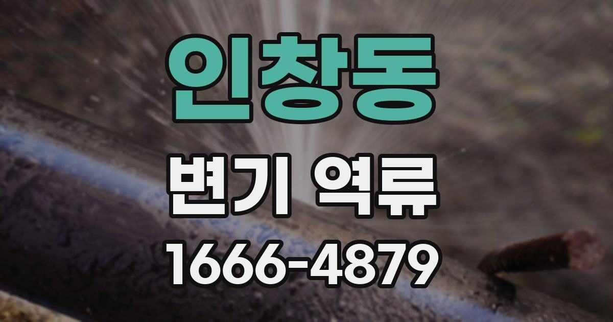 인창동 변기 역류