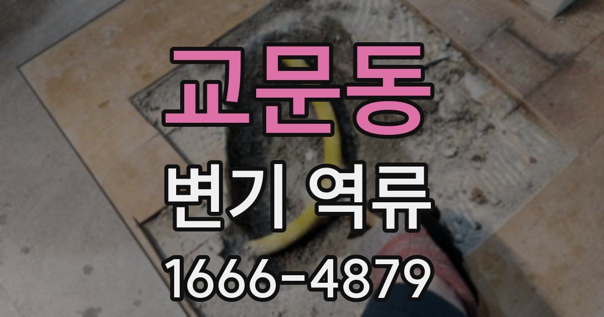 교문동 변기 역류