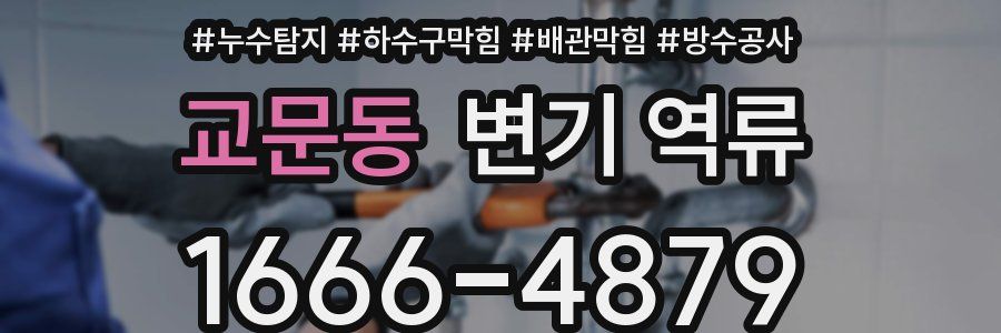 교문동 변기 역류