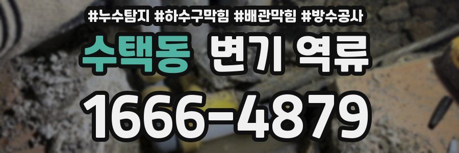 수택동 변기 역류